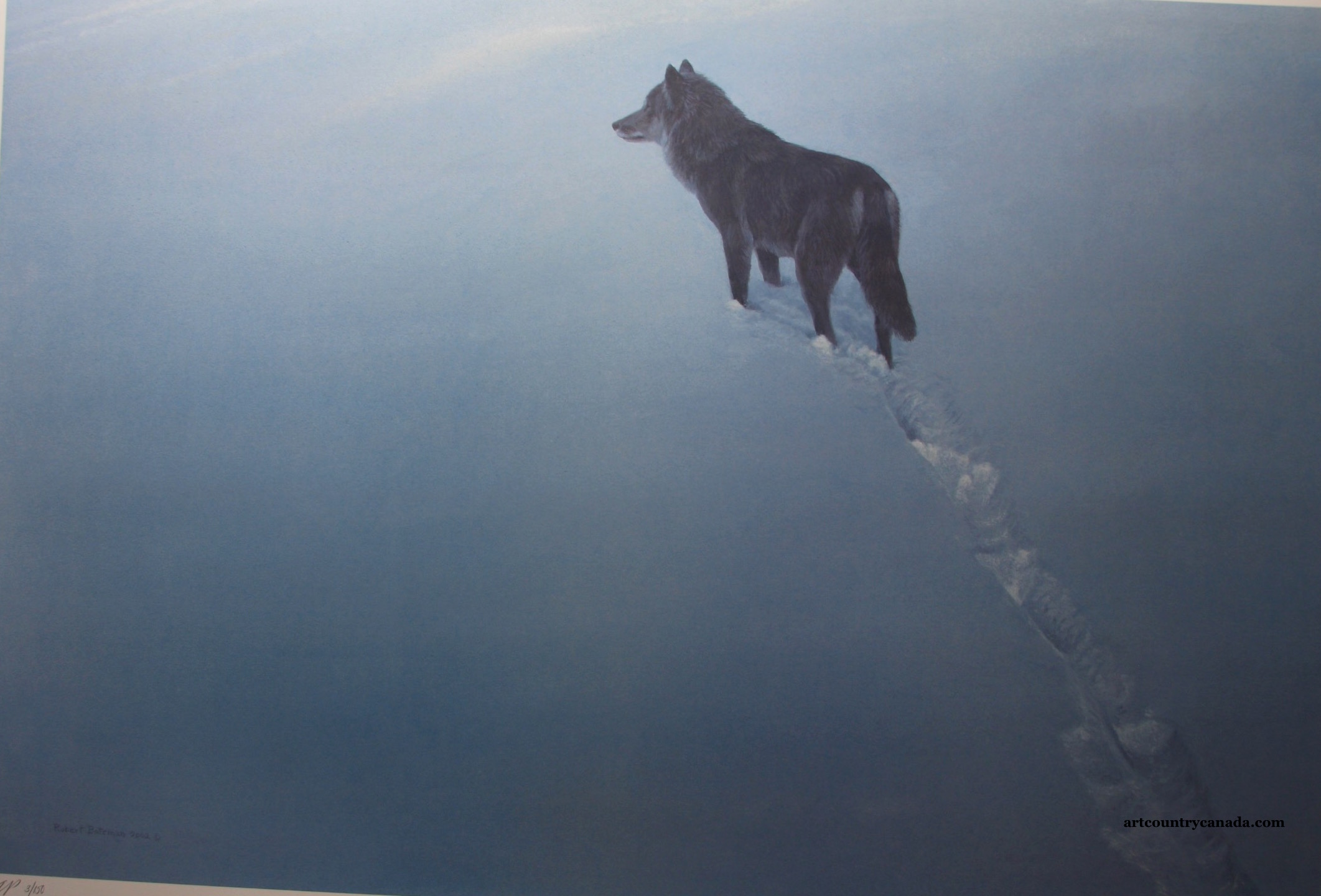 Robert Bateman New Territory Black Wolf